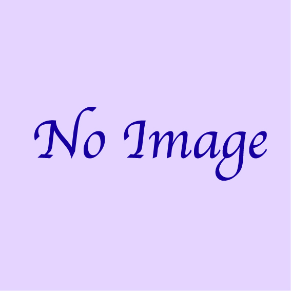 no image 2